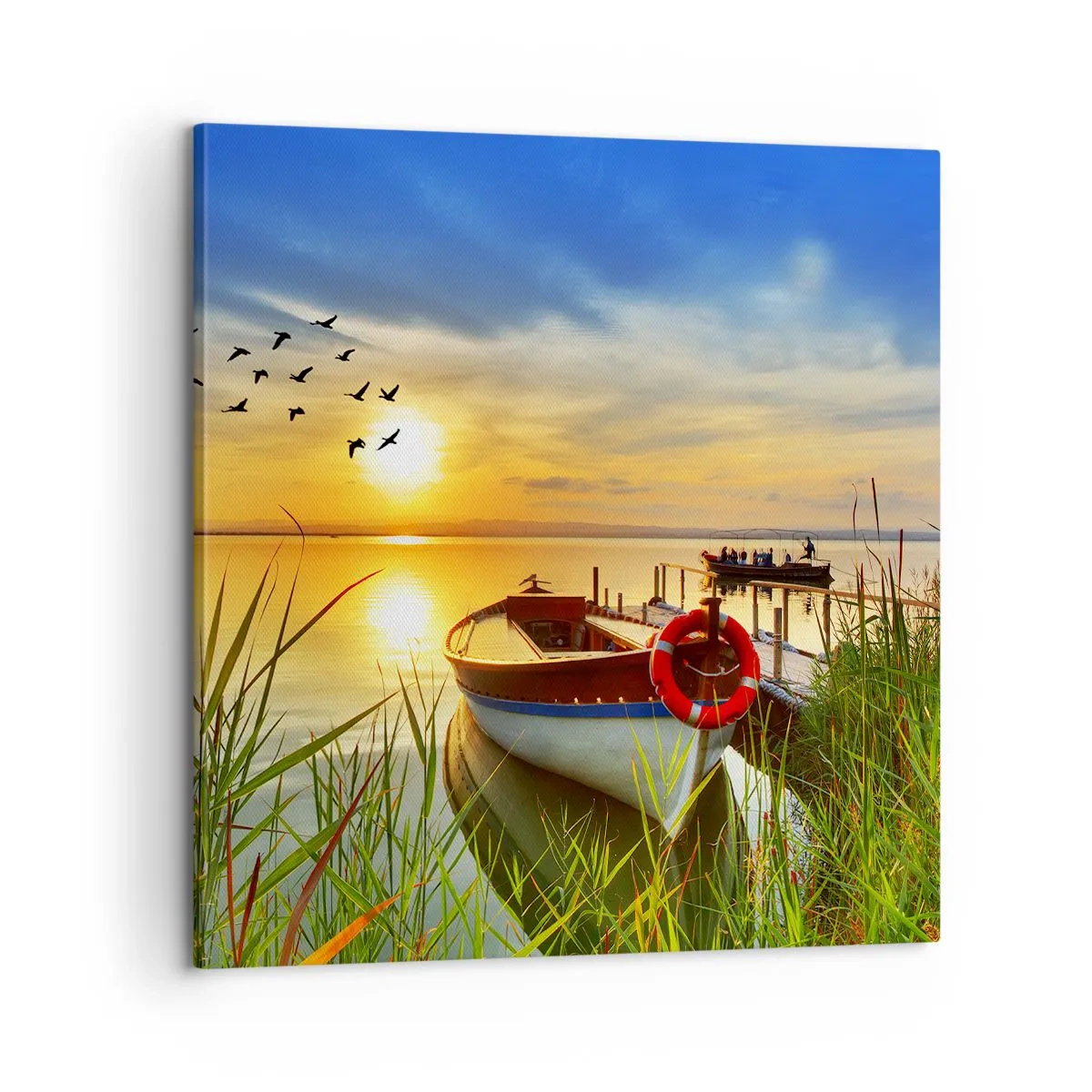 Cuadro sobre lienzo - Impresión de Imagen - Los cormoranes están volando - 60x60 cm