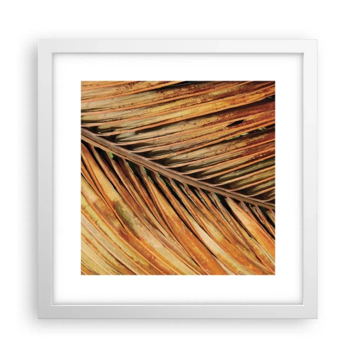 Póster en marco blanco - Oro de coco - 30x30 cm