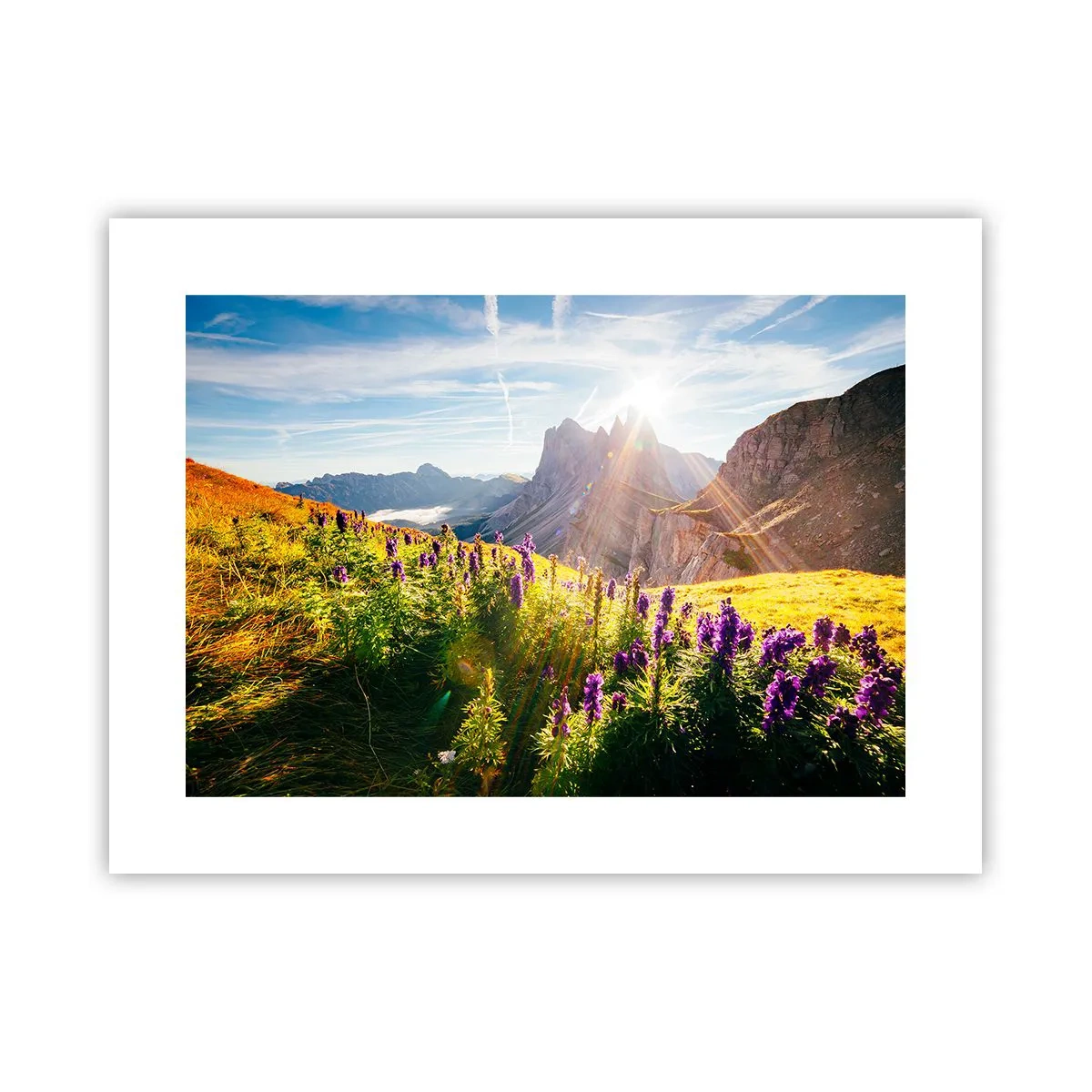 Póster - La vida secreta de las hierbas - 40x30 cm