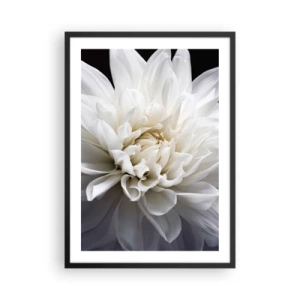 Póster en marco negro - Primer plano de una dalia blanca sobre un fondo oscuro. - 50x70cm - La novia de la mañana - Decoración de pared moderna para salón y dormitorio ARTTOR