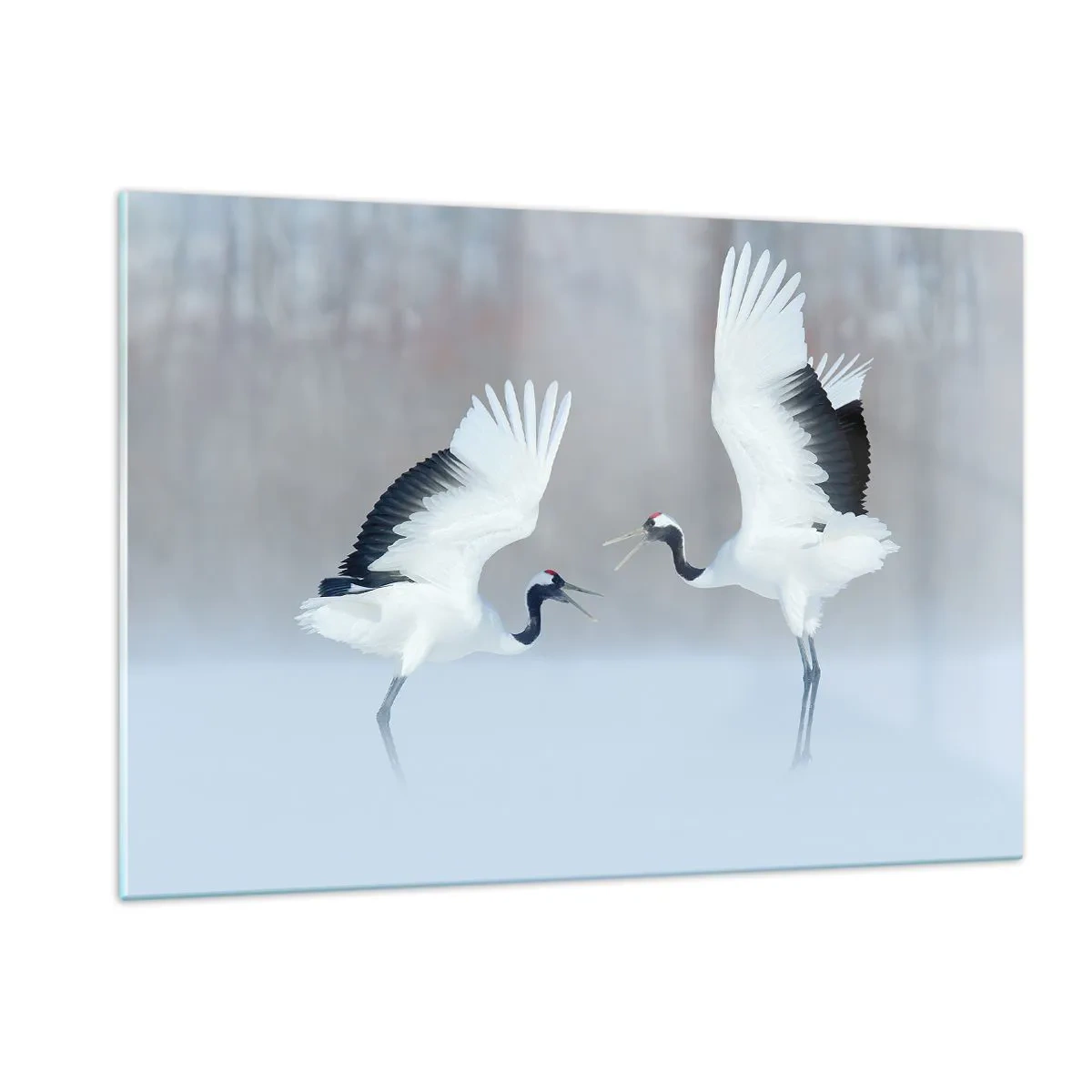 Cuadro sobre vidrio - Impresiones sobre Vidrio - Grullas danzantes con el telón de fondo de un paisaje invernal - 120x80cm - Danza en la niebla - Decoración de pared moderna para salón y dormitorio ARTTOR