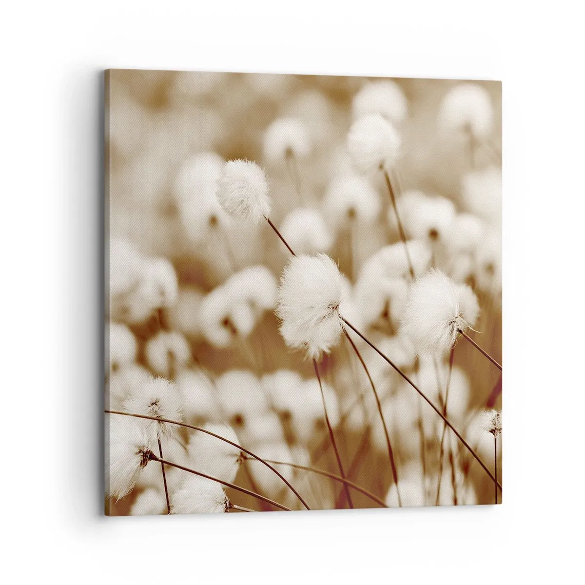 Cuadro sobre lienzo - Impresión de Imagen - Un mullido colchón - 70x70 cm