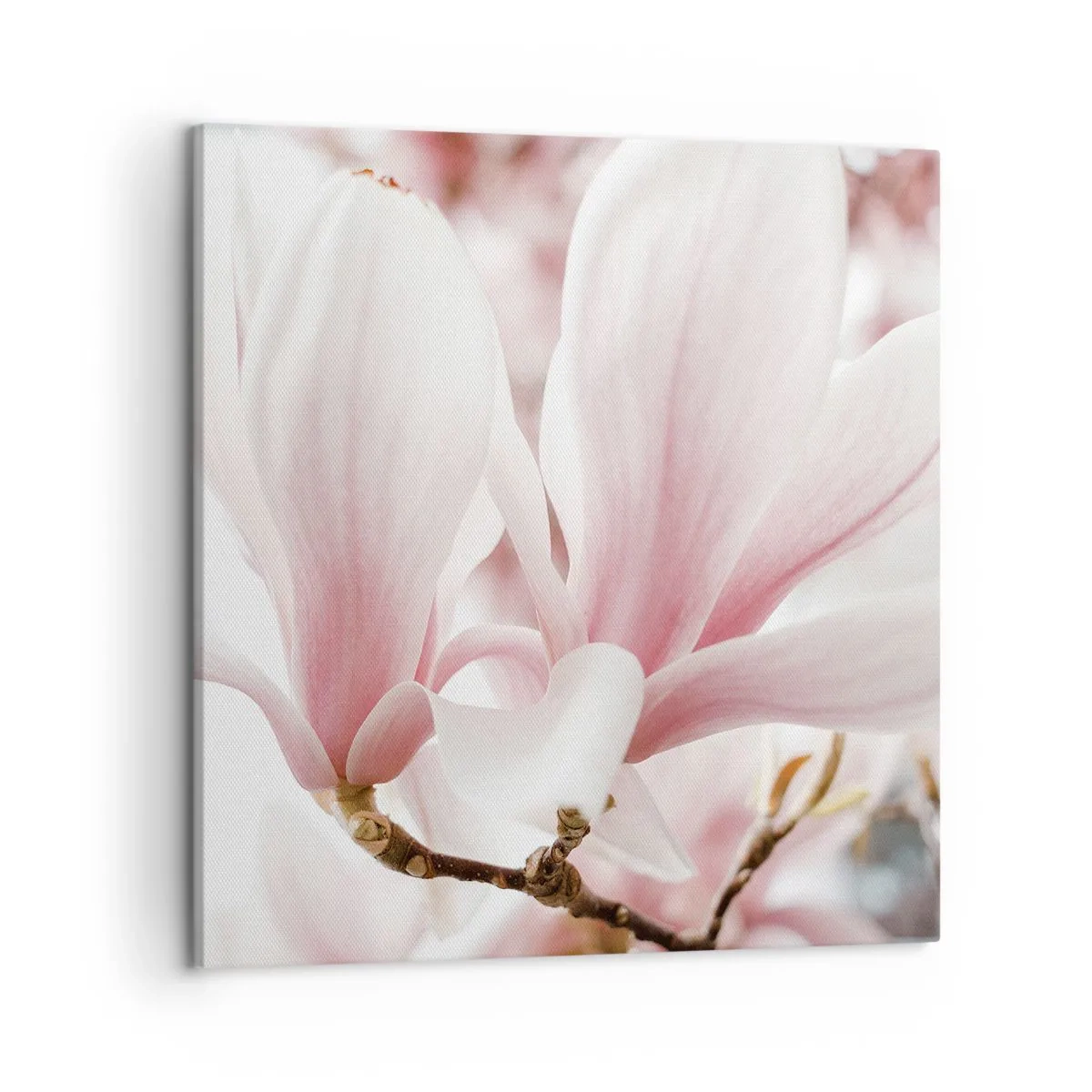 Cuadro sobre lienzo - Impresión de Imagen - Inmensidad de la ternura - 50x50 cm