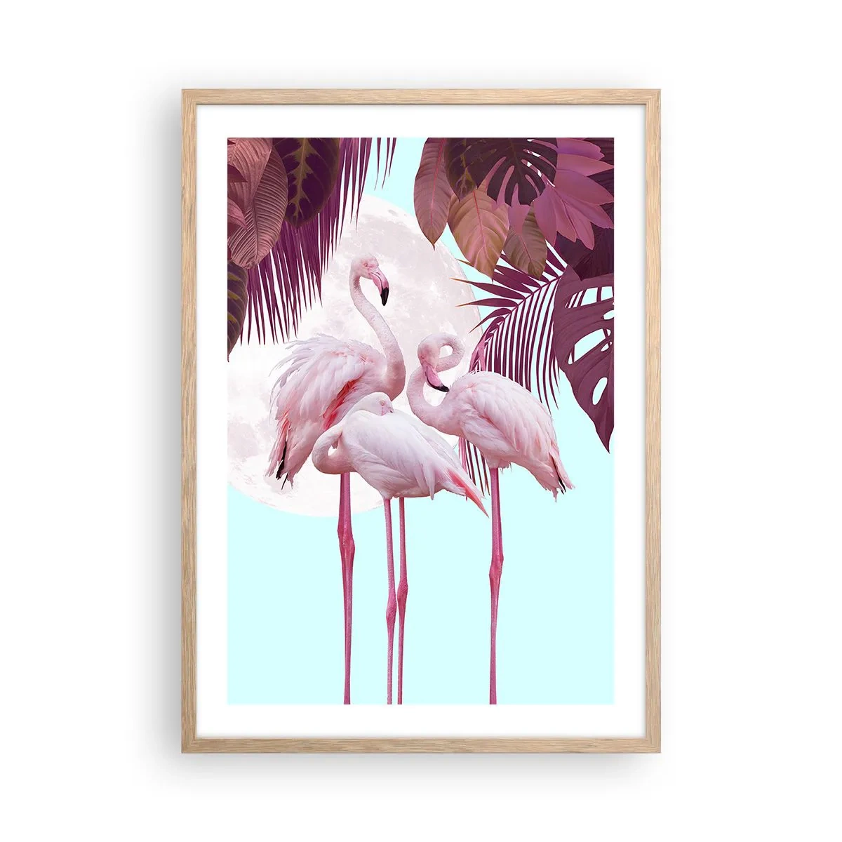 Póster en marco roble claro - La grandeza de las aves - 50x70 cm