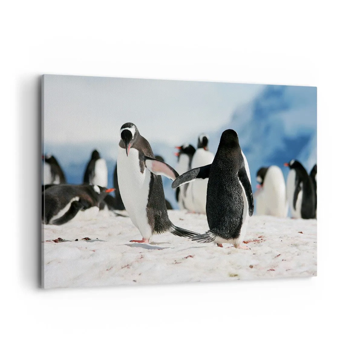 Cuadro sobre lienzo - Impresión de Imagen - Un grupo de pingüinos en la nieve en un paisaje antártico. - 120x80cm - Bailando en la nieve - Decoración de pared moderna para salón y dormitorio ARTTOR