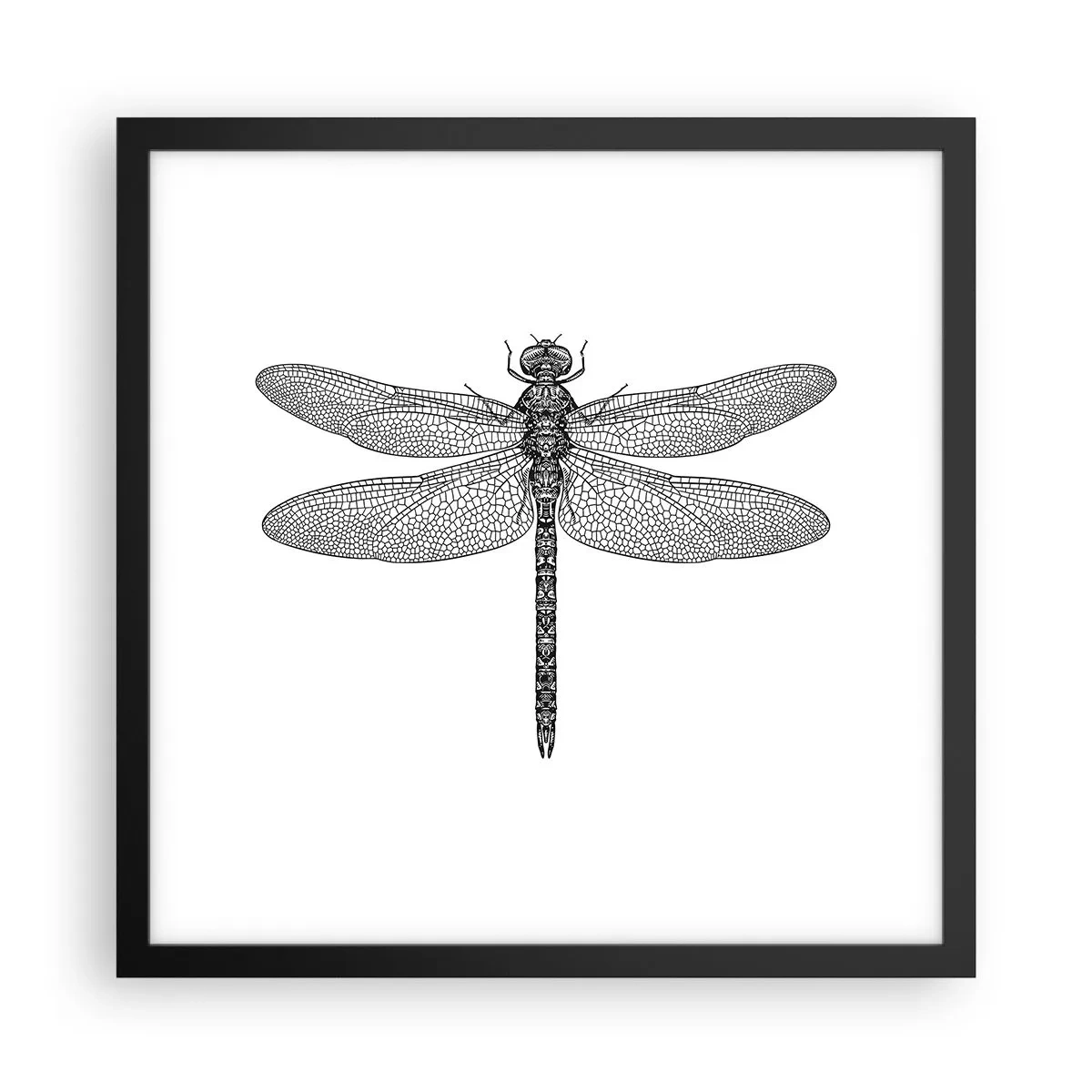 Póster en marco negro - Precisión de la naturaleza - 40x40 cm