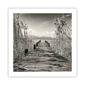 Póster - En la quietud de los juncos - 50x50 cm