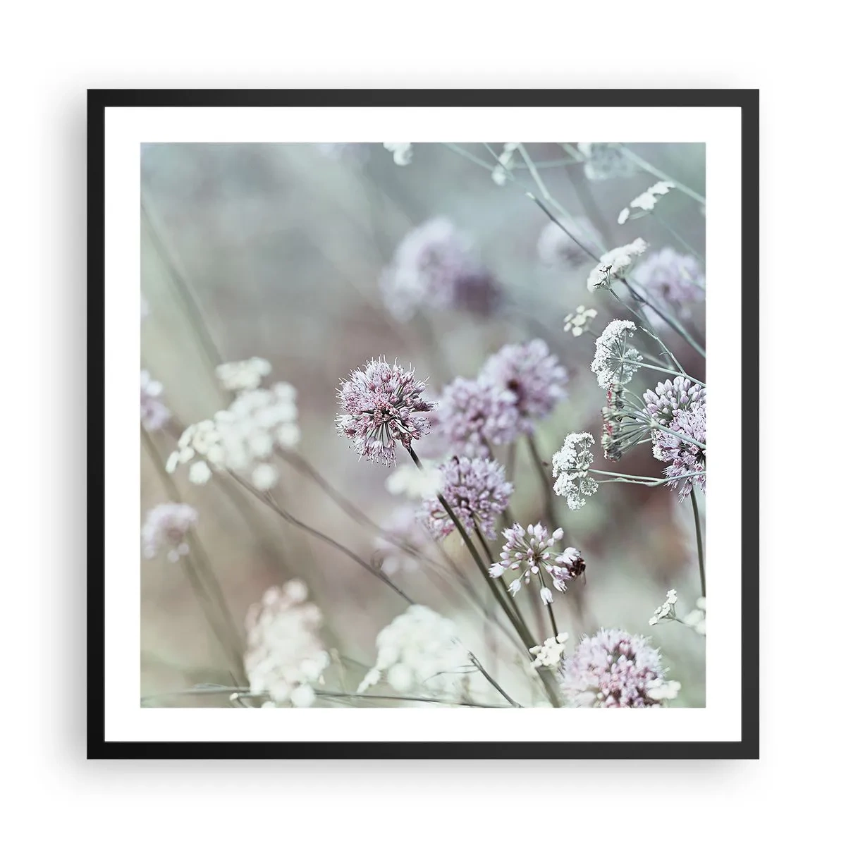 Póster en marco negro - Dulces filigranas de hierbas - 60x60 cm