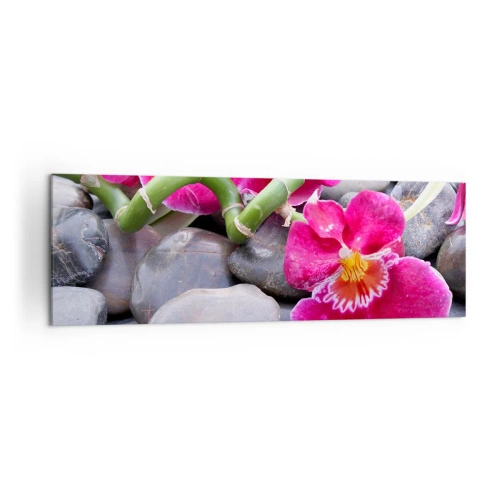 Cuadro sobre lienzo - Impresión de Imagen - Orquídeas rosas sobre un fondo de piedras lisas. - 160x50cm - Frío y calor - Decoración de pared moderna para salón y dormitorio ARTTOR