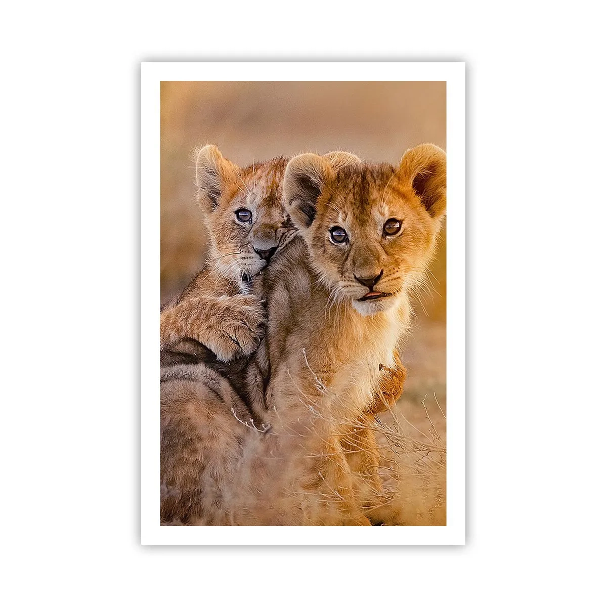 Póster - ¡No molestar! Nos estamos divirtiendo - 61x91 cm