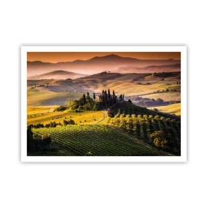 Póster - Paisaje toscano con viñedos y una casa en una colina. - 100x70cm - Paisaje toscano - Decoración de pared moderna para salón y dormitorio ARTTOR
