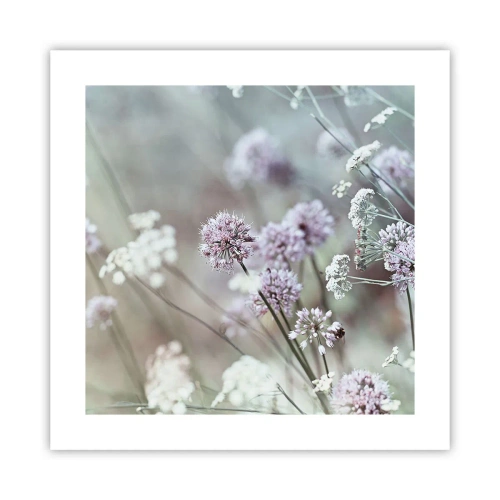 Póster - Dulces filigranas de hierbas - 40x40 cm