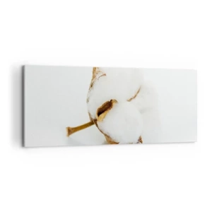 Cuadro sobre lienzo - Impresión de Imagen - Una rama de algodón sobre un fondo claro en un enfoque minimalista. - 120x50cm - Suave por naturaleza - Decoración de pared moderna para salón y dormitorio ARTTOR