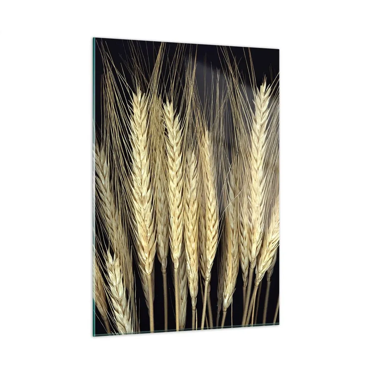 Cuadro sobre vidrio - Impresiones sobre Vidrio - Grano en tonos cálidos sobre fondo negro - 50x70cm - Magia rústica - Decoración de pared moderna para salón y dormitorio ARTTOR