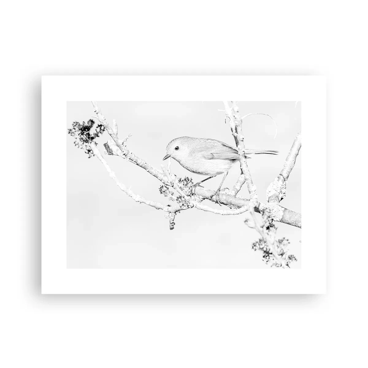 Póster - Mañana de invierno - 40x30 cm