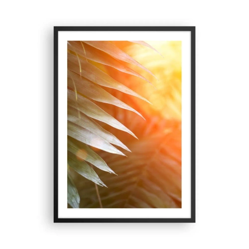 Póster en marco negro - Hojas de palma a la luz del sol poniente - 50x70cm - Mañana en la selva - Decoración de pared moderna para salón y dormitorio ARTTOR