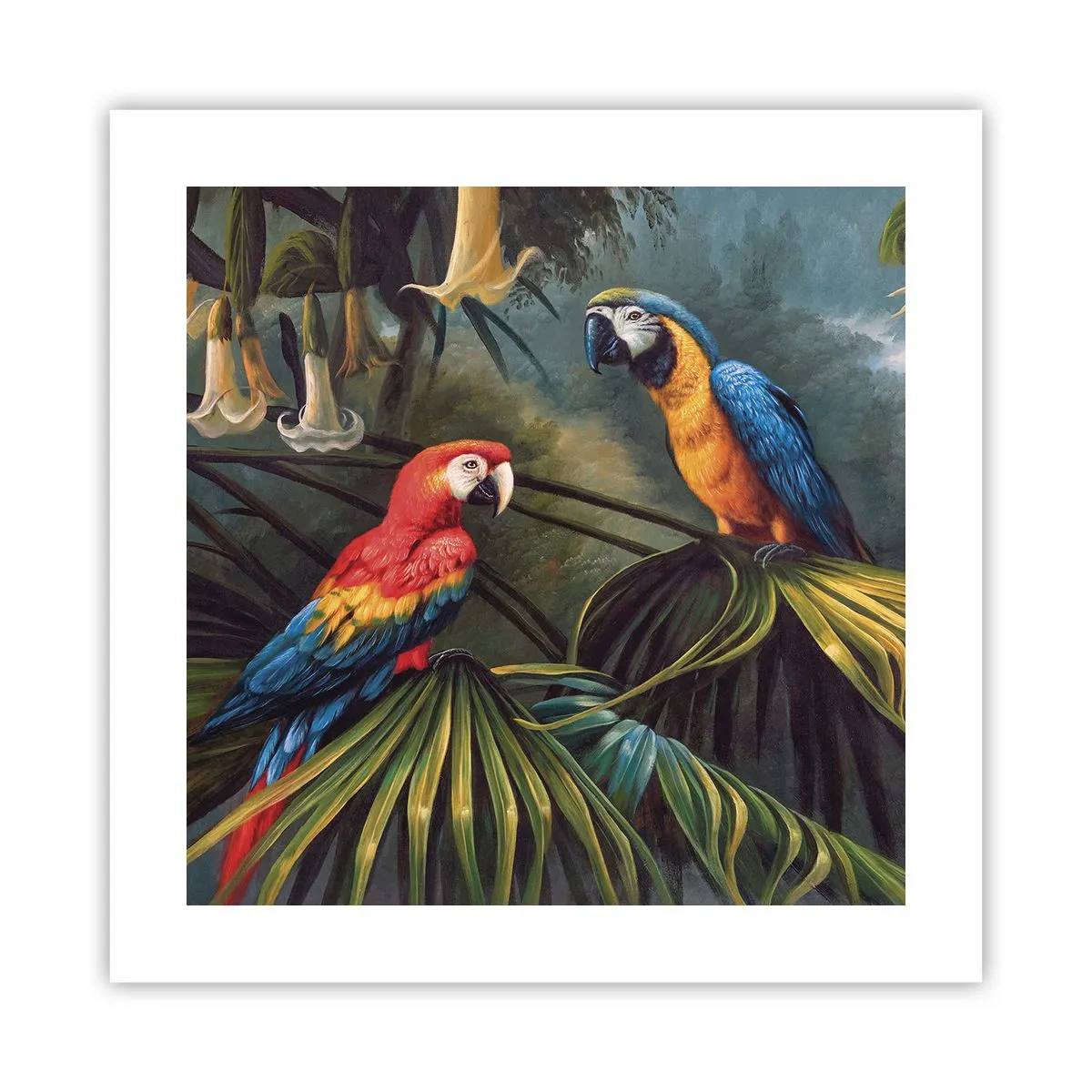 Póster - Romanticismo en los trópicos - 40x40 cm