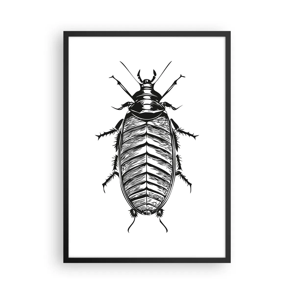 Póster en marco negro - Ilustración en blanco y negro de un insecto en un estilo minorista. - 50x70cm - ¡Qué espécimen! - Decoración de pared moderna para salón y dormitorio ARTTOR