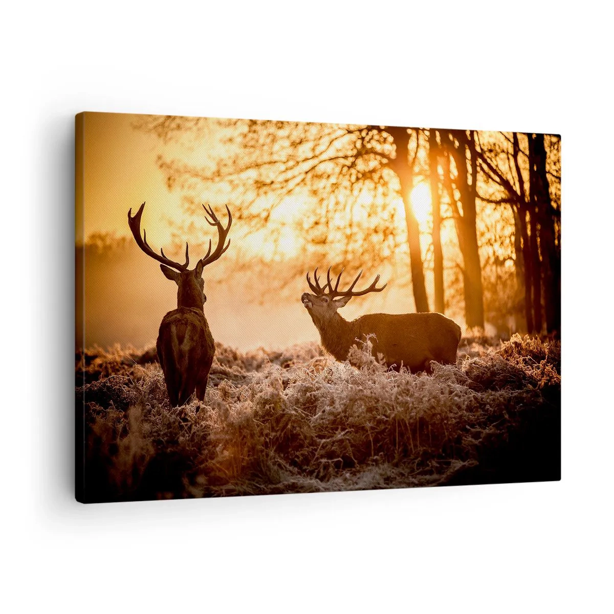 Cuadro sobre lienzo - Impresión de Imagen - Dos ciervos al atardecer en un paisaje invernal. - 70x50cm - El sueño de un cazador - Decoración de pared moderna para salón y dormitorio ARTTOR