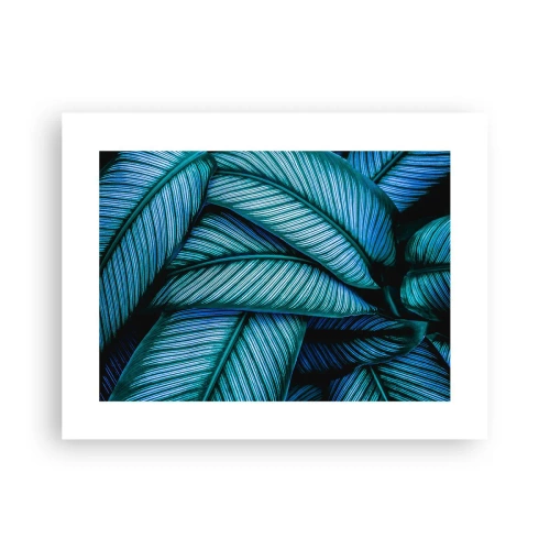 Póster - Líneas de vida - 40x30 cm