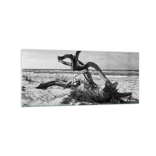 Cuadro sobre vidrio - Impresiones sobre Vidrio - Paisaje en blanco y negro con un árbol muerto en la playa. - 120x50cm - Escultura marina - Decoración de pared moderna para salón y dormitorio ARTTOR