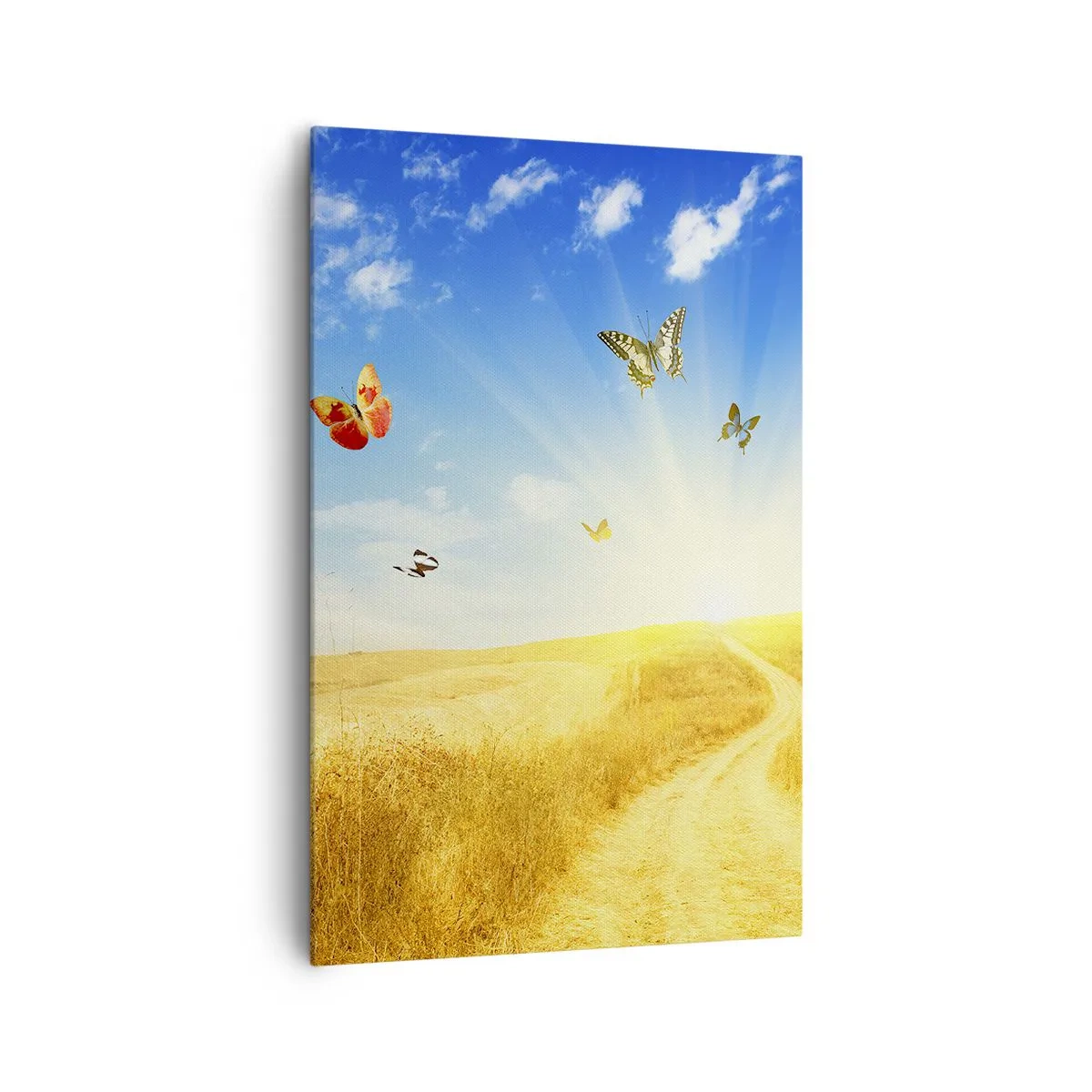 Cuadro sobre lienzo - Impresión de Imagen - Un campo dorado, un camino y mariposas contra un cielo azul. - 80x120cm - ¿Cómo no amar el verano? - Decoración de pared moderna para salón y dormitorio ARTTOR