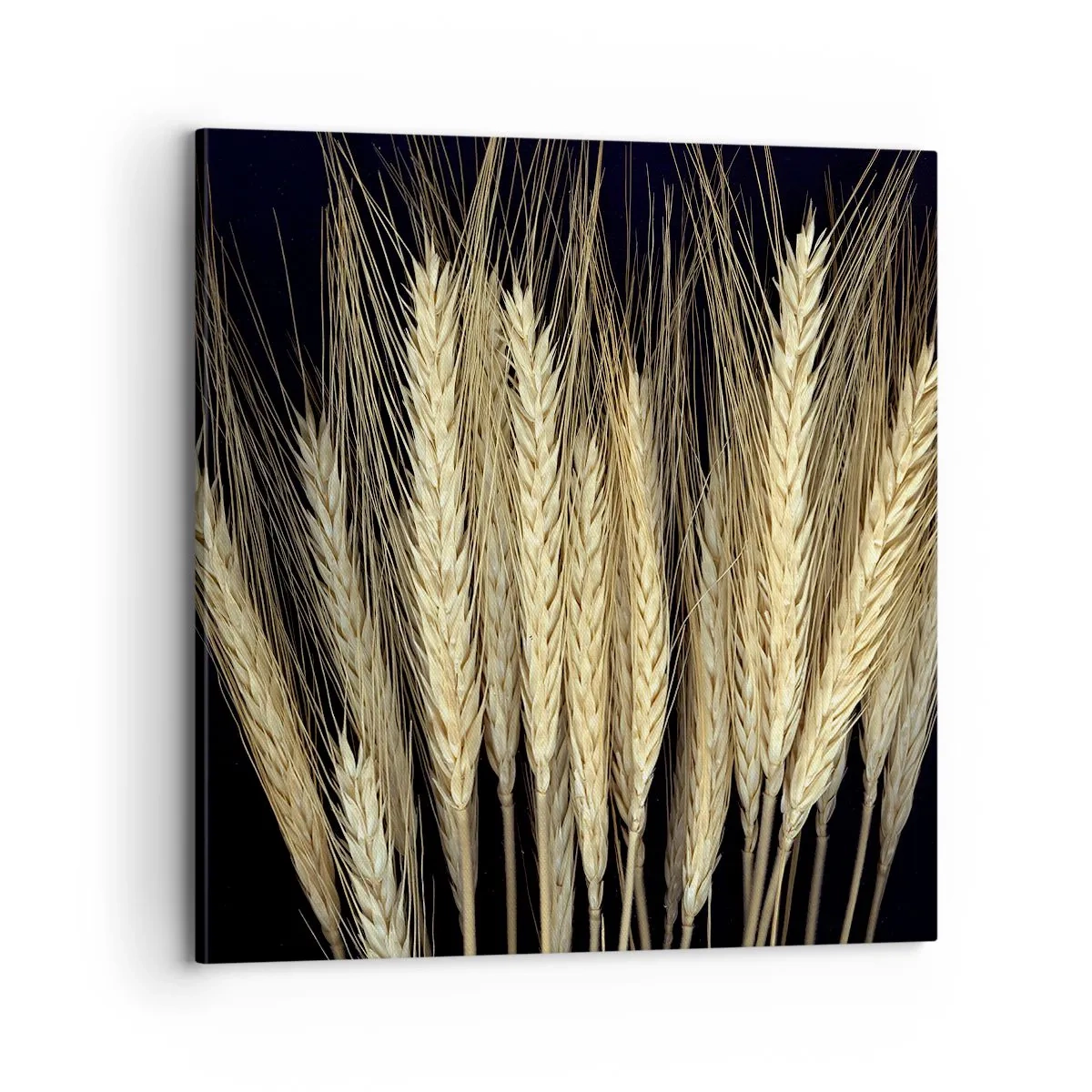 Cuadro sobre lienzo - Impresión de Imagen - Magia rústica - 70x70 cm