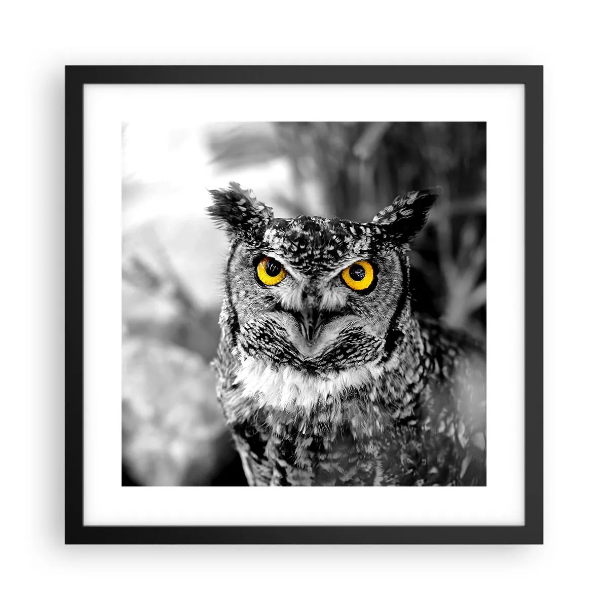 Póster en marco negro - Nada se puede ocultar - 40x40 cm