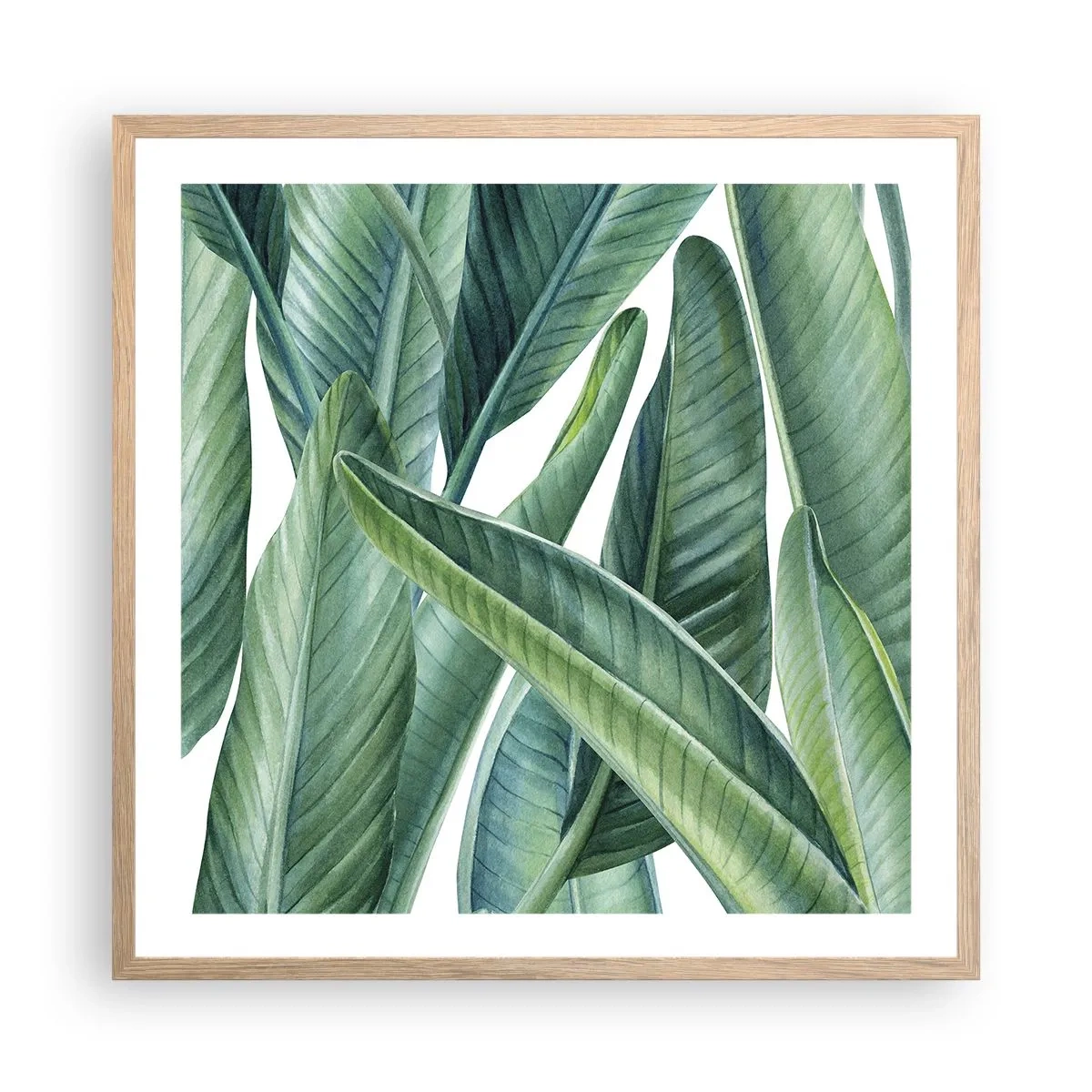 Póster en marco roble claro - Vegetación en estado puro - 60x60 cm