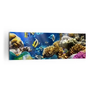 Cuadro sobre lienzo - Impresión de Imagen - Un colorido arrecife de coral con peces tropicales en las profundidades del océano. - 160x50cm - Vacaciones submarinas - Decoración de pared moderna para salón y dormitorio ARTTOR