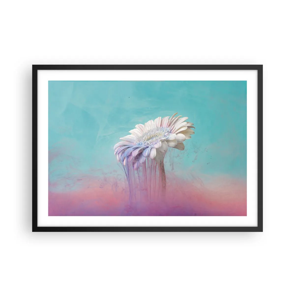 Póster en marco negro - Gerbera pastel con efecto difuminado - 70x50cm - El inframundo de las flores - Decoración de pared moderna para salón y dormitorio ARTTOR
