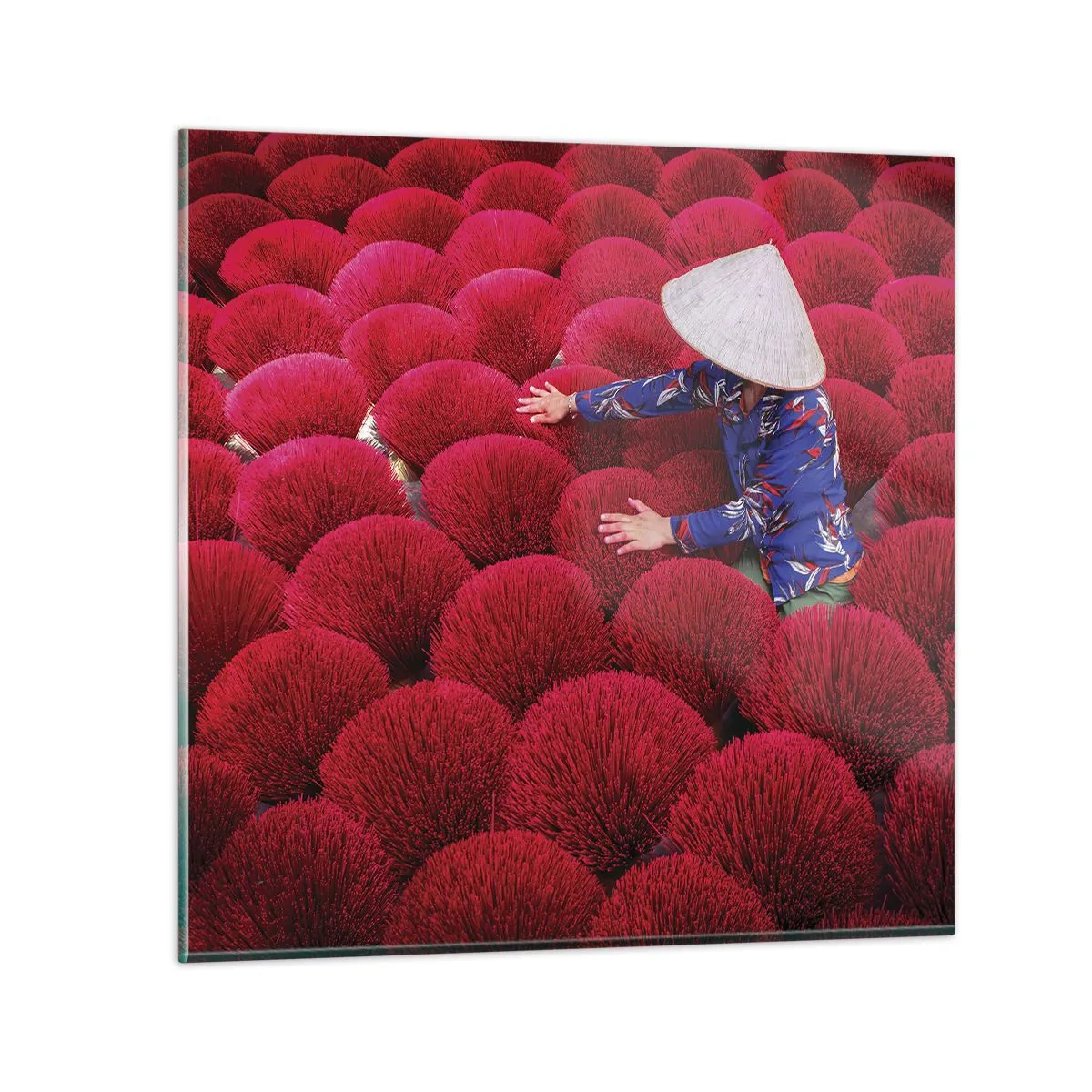 Cuadro sobre vidrio - Impresiones sobre Vidrio - En un campo de arroz - 60x60 cm