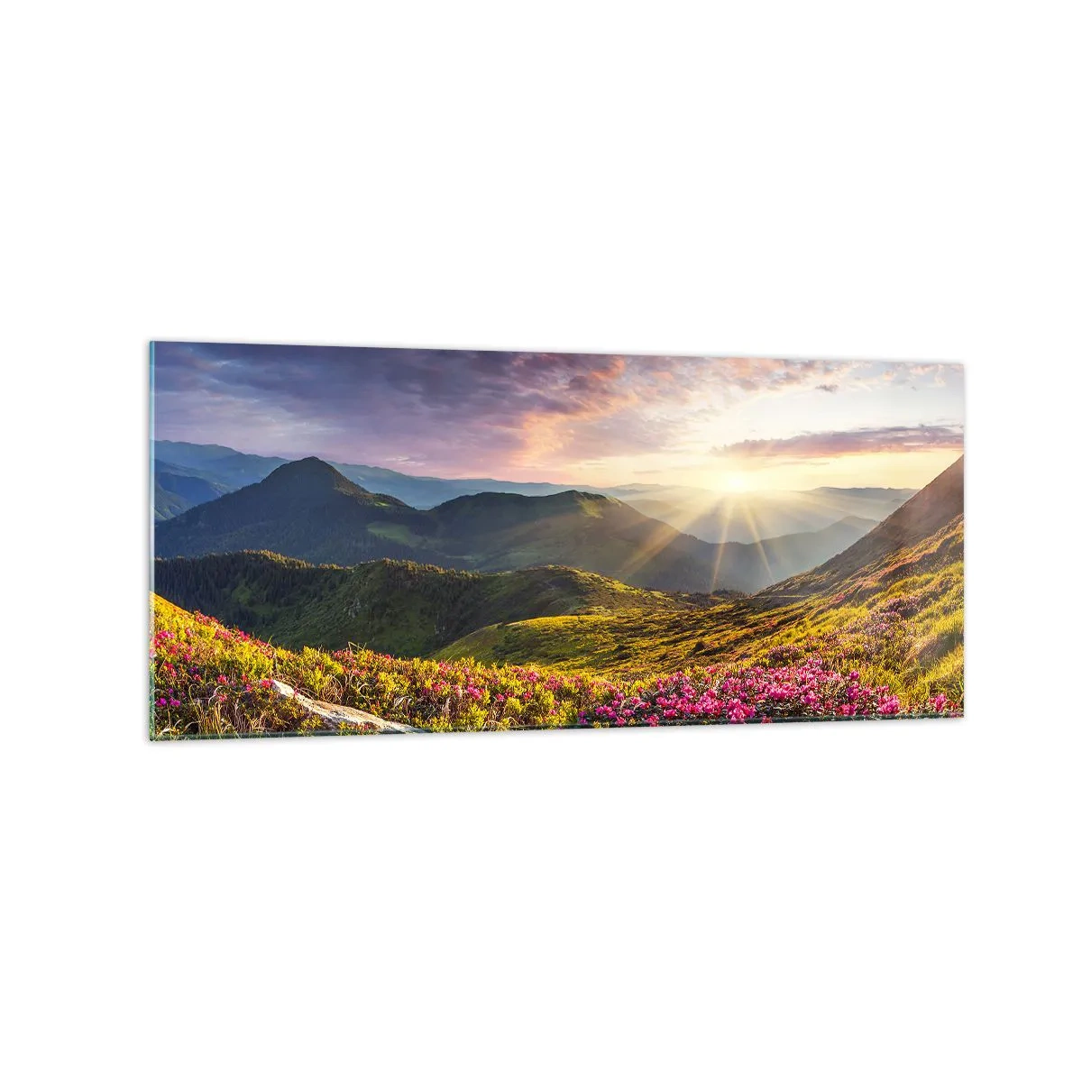 Cuadro sobre vidrio - Impresiones sobre Vidrio - Paisaje de montaña con rododendros en flor - 120x50cm - La frescura de una mañana de montaña - Decoración de pared moderna para salón y dormitorio ARTTOR