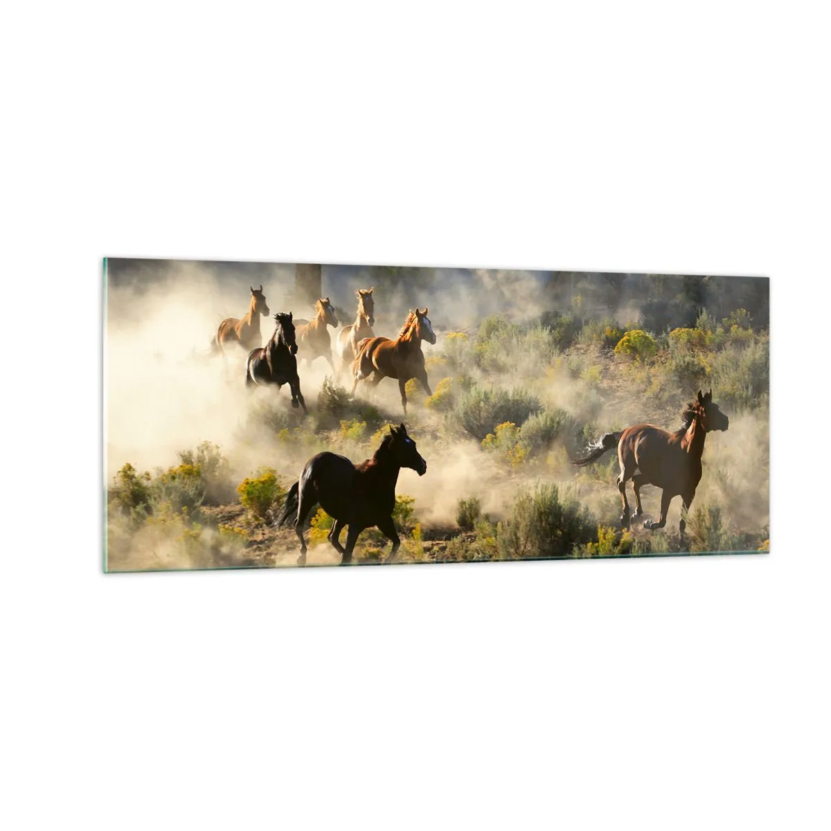 Cuadro sobre vidrio - Impresiones sobre Vidrio - Rivalidad: ¿libertad o fuerza? - 100x40 cm