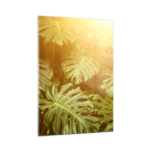 Cuadro sobre vidrio - Impresiones sobre Vidrio - Hojas verdes de monstera bajo la luz dorada del sol tropical. - 50x70cm - Hacia el verdor... - Decoración de pared moderna para salón y dormitorio ARTTOR