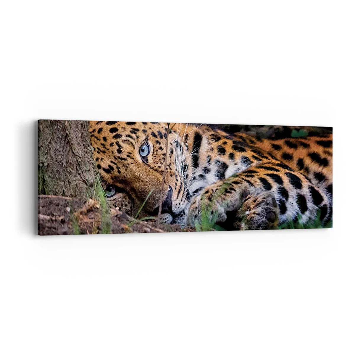 Cuadro sobre lienzo - Impresión de Imagen - Confía en mí - 90x30 cm