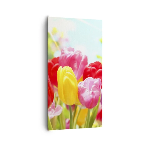 Cuadro sobre lienzo - Impresión de Imagen - Somos nosotros, ¡los colores de mayo! - 65x120 cm
