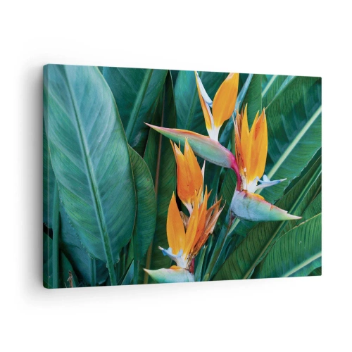 Cuadro sobre lienzo - Impresión de Imagen - Flores exóticas de strelitzia rodeadas de hojas verdes. - 70x50cm - ¿Es una flor o es un pájaro? - Decoración de pared moderna para salón y dormitorio ARTTOR