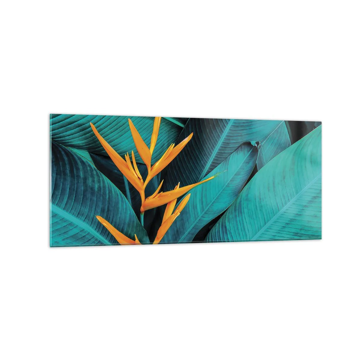 Cuadro sobre vidrio - Impresiones sobre Vidrio - Una flor exótica sobre un fondo de hojas de plátano en tonos turquesas. - 120x50cm - Flor del Edén - Decoración de pared moderna para salón y dormitorio ARTTOR