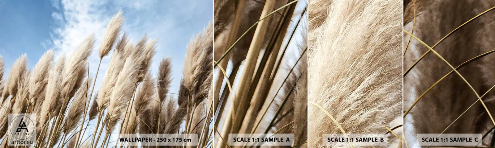 Muestra de fotomural autoadhesivo Deluxe Sticker - Una caricia soleada y ventosa - Hierba de la pampa, Naturaleza, bohemia - 100x30 cm