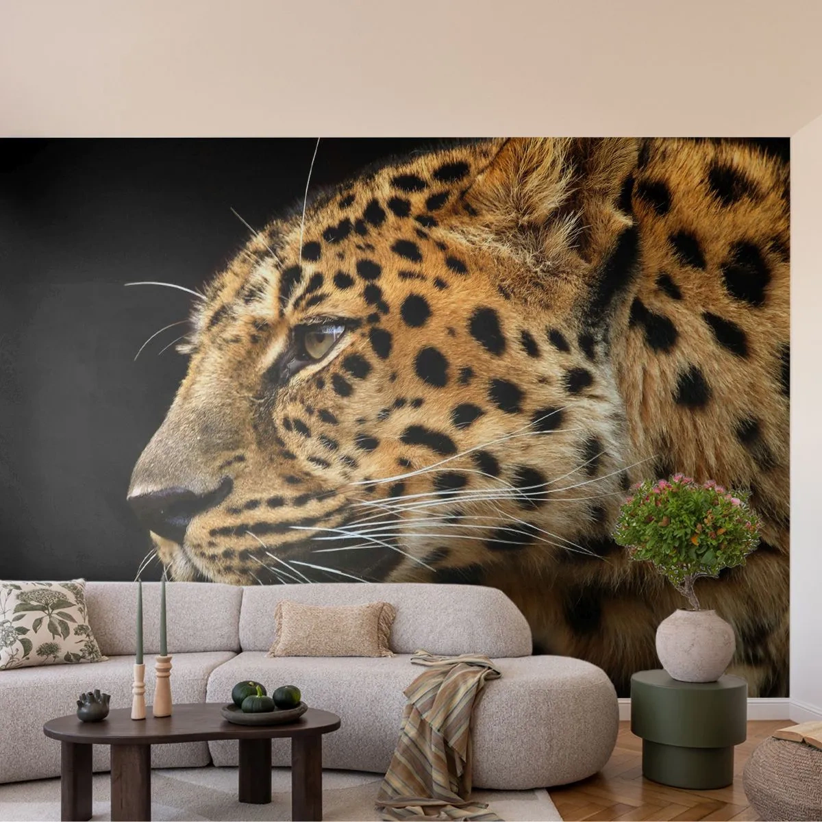Fotomural Premium Canvas - Tranquilo, concentrado, preparado - animales, leopardo, África - 500x350 cm