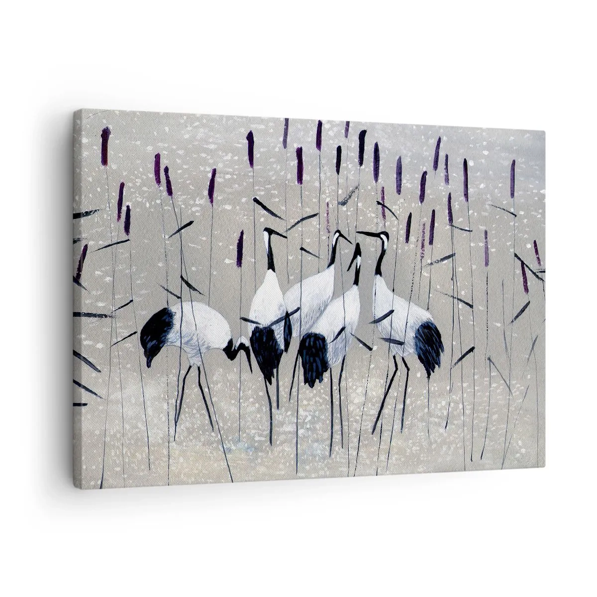 Cuadro sobre lienzo - Impresión de Imagen - Garzas en la hierba contra un fondo tranquilo - 70x50cm - Entre los suyos - Decoración de pared moderna para salón y dormitorio ARTTOR