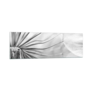 Cuadro sobre vidrio - Impresiones sobre Vidrio - Delicados dientes de león en tonos blanco y negro. - 160x50cm - Caricias del viento - Decoración de pared moderna para salón y dormitorio ARTTOR