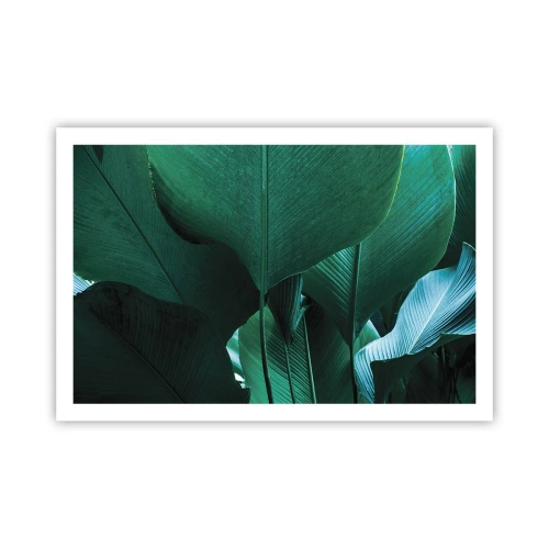 Póster - De cara a la luz - 91x61 cm