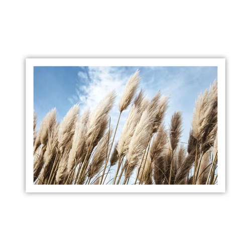 Póster - Una caricia soleada y ventosa - 91x61 cm