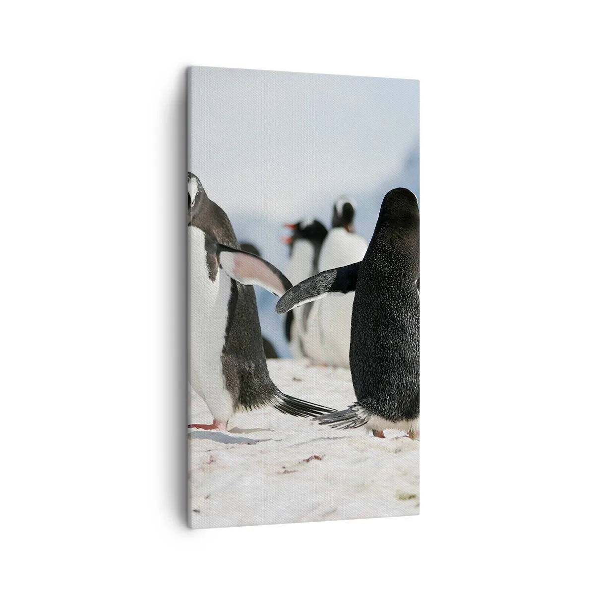 Cuadro sobre lienzo - Impresión de Imagen - Bailando en la nieve - 45x80 cm