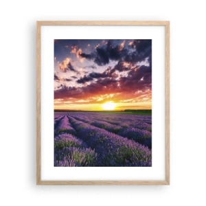 Póster en marco roble claro - El mundo de la lavanda - 40x50 cm
