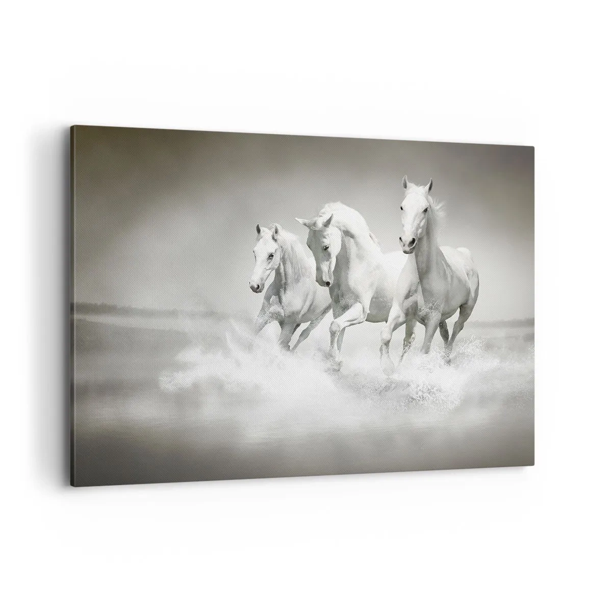 Cuadro sobre lienzo - Impresión de Imagen - Tres caballos blancos galopando por el agua - 100x70cm - Locura blanca - Decoración de pared moderna para salón y dormitorio ARTTOR
