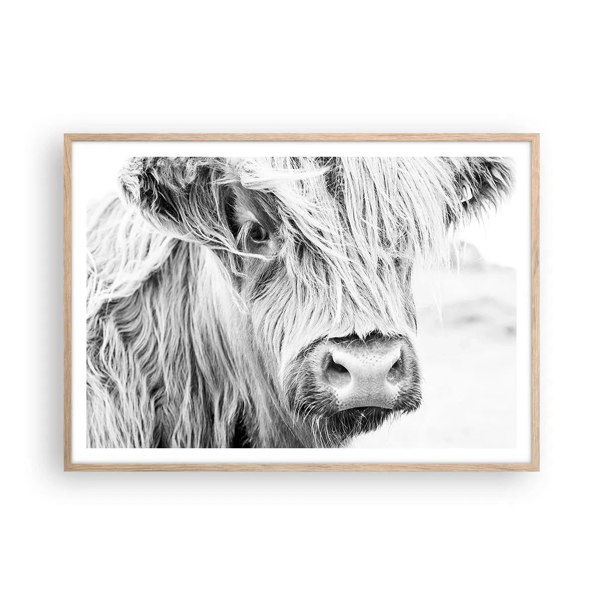 Póster en marco roble claro - La naturaleza escocesa - 100x70 cm