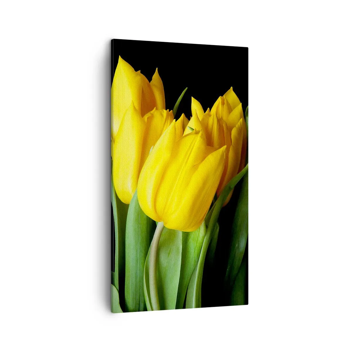 Cuadro sobre lienzo - Impresión de Imagen - Resucitado de puro sol - 45x80 cm